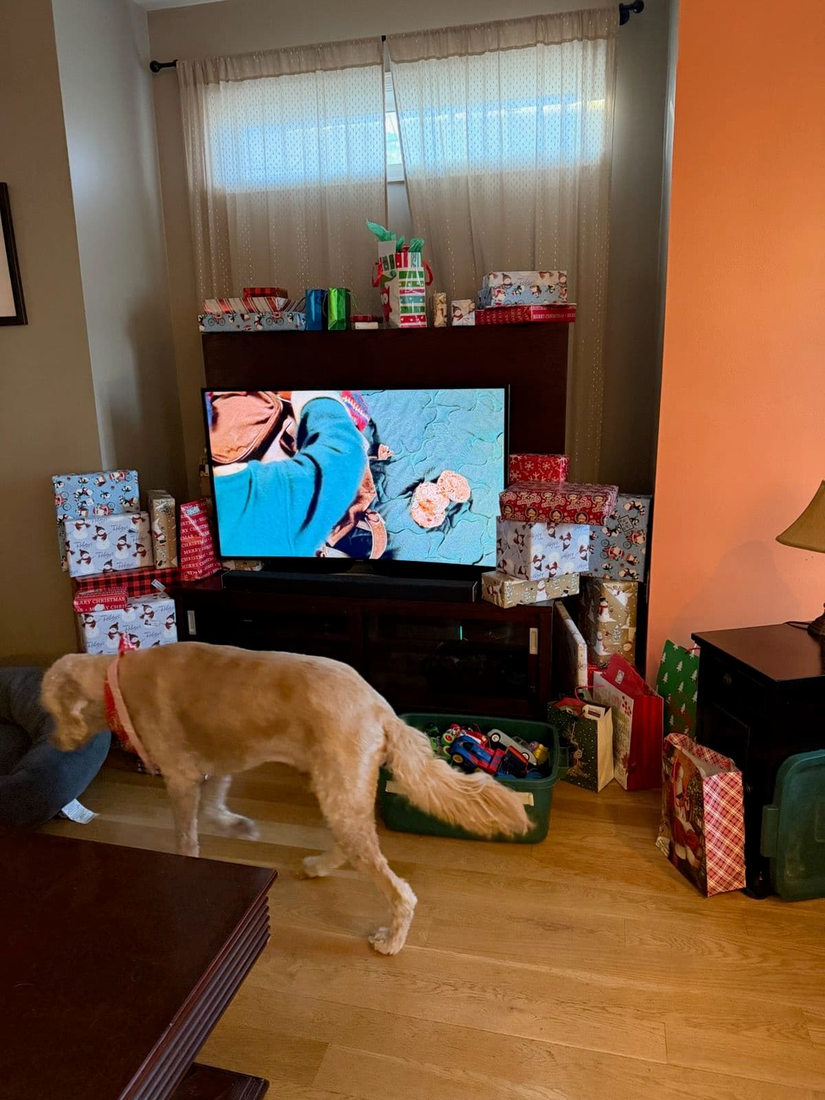 Project Cozy Holiday Movie Setups with Lovell Electrical Solutions image